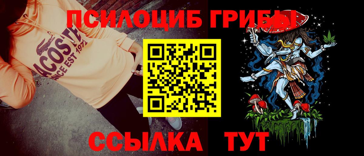 Галлюциногенные грибы Psilocybe  Вход с VPN  Сыктывкар 